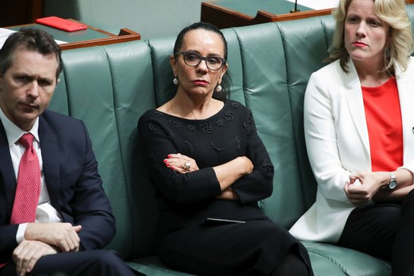 Not prepared to trust the crossbench: Shadow Minister for Families and Social Services Linda Burney.