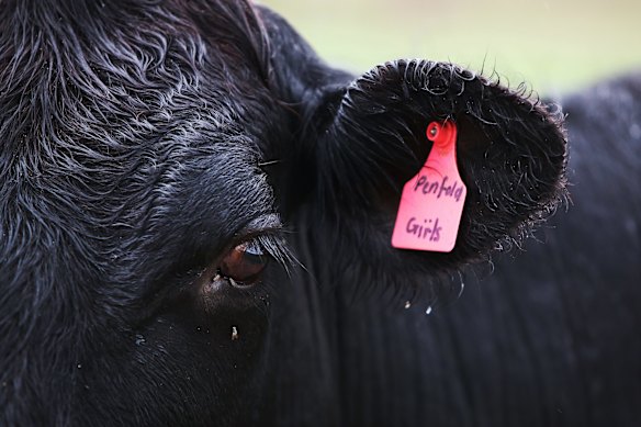 China is regaining its taste for Australian beef and pipped South Korea as our second-biggest export market.  