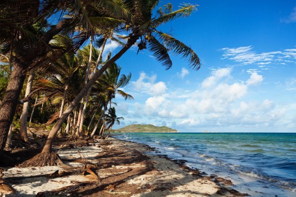 Chilli Beach at Iron Range National Park, on Cape York Peninsula.