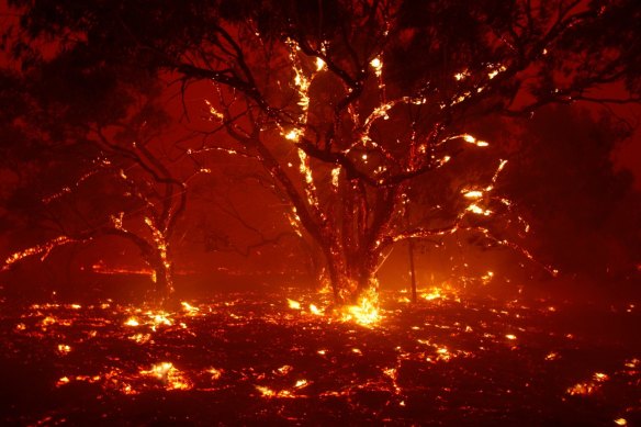 Spot fires breaking along the Monaro Highway near Bredbo on February 1.