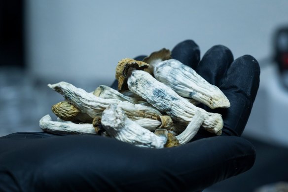 Sarah was given psilocybin, a drug that is the active ingredient in magic mushrooms.
