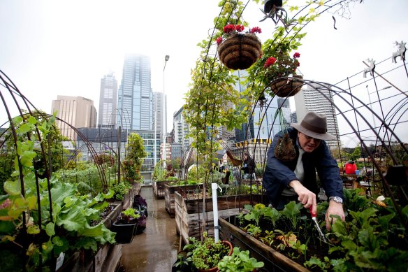 Could a greener city emerge from the COVID-19 crisis?