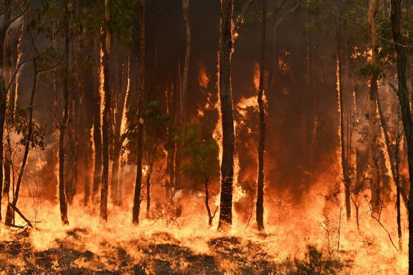 CSIRO climate scientist Pep Canadell says climate change is the “overwhelming factor” driving a massive increase in bushfires in Australia.  