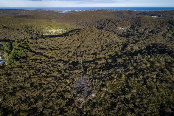 Local representatives are continuing to oppose the development of bushland at Belrose.