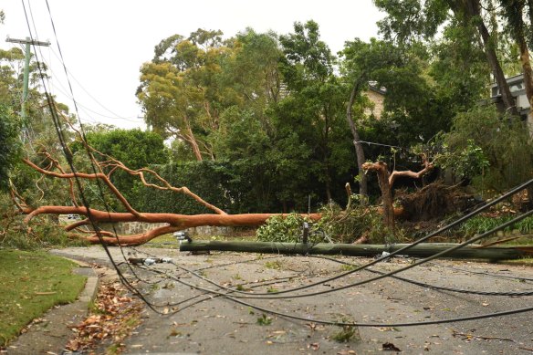 Ausgrid is responding to more than 1500 hazards on the network.
