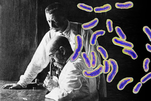 Robert Koch, seated, the founder of bacteriology and discoverer of the cholera (pictured) and tubercular bacillus with his oldest student and assistant, Richard Pfeiffer.