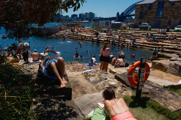 Swimmers at Marrinawi Cove, in Sydney CBD, within weeks of the spot opening in January. 