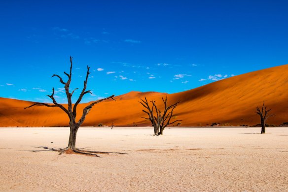 Namibia’s salt pans are explosive contrasts of colours.