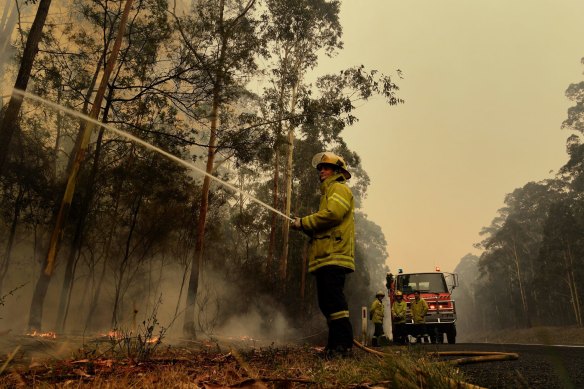 Fire crews fight to contain a blaze on the Princes Highway between the NSW towns of Nowra and Batemans Bay on Sunday.