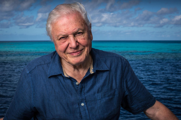 Sir David Attenborough back at the Great Barrier Reef.
