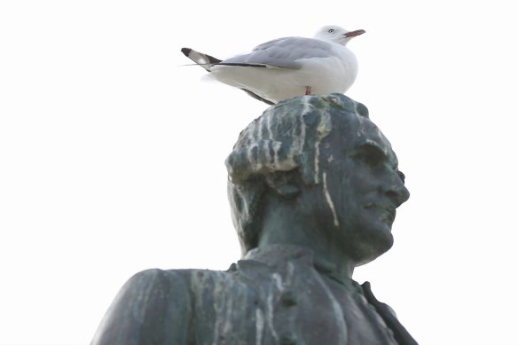 A seagull surveys the view from Cook’s statue in St Kilda.