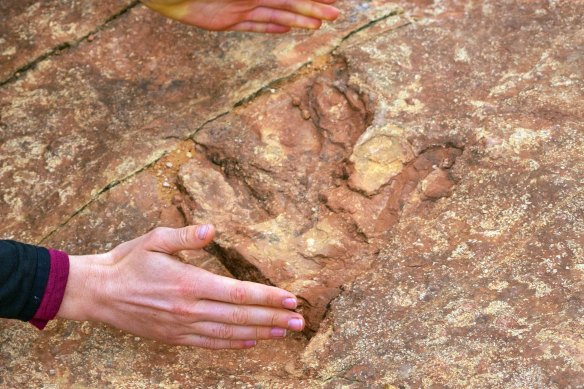 Dinosaur tracks at the Red Fleet State Park east of Salt Lake City in the US.