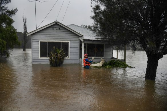 State emergency workers rescue a group of goats from a submerged home in Wallacia on Sunday.