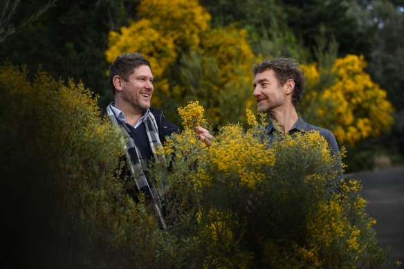 Western Sydney University professor Jerome Sarris and University of Melbourne associate professor Daniel Perkins are co-directors of the University of Melbourne’s Medicinal Psychedelics Research Network.