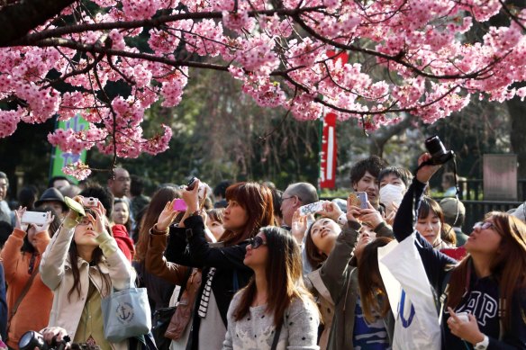 You encounter different cultures while travelling.