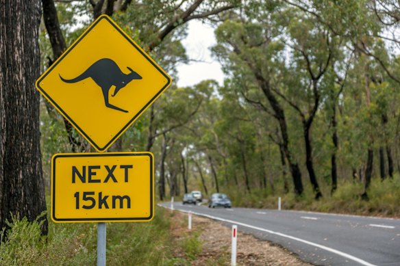 The US warns its citizens about Australia’s “narrow” roads that have just two lanes.