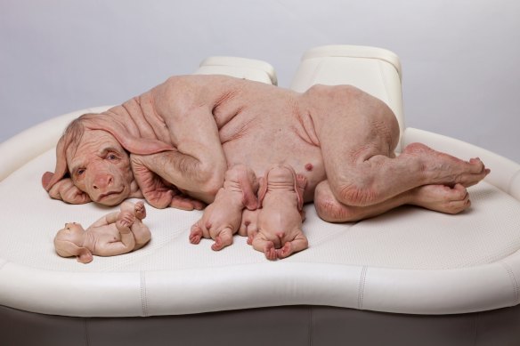 Piccinini’s “The Young Family”, which she produced in 2002, is about humans growing replacement organs in other creatures (size 80cm x 150cm x 110cm)