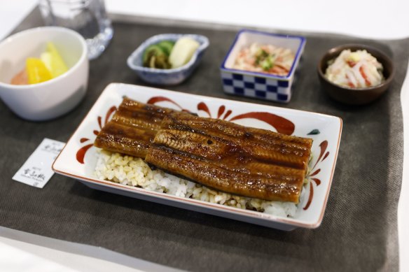 An economy class dish on Japan Airlines.