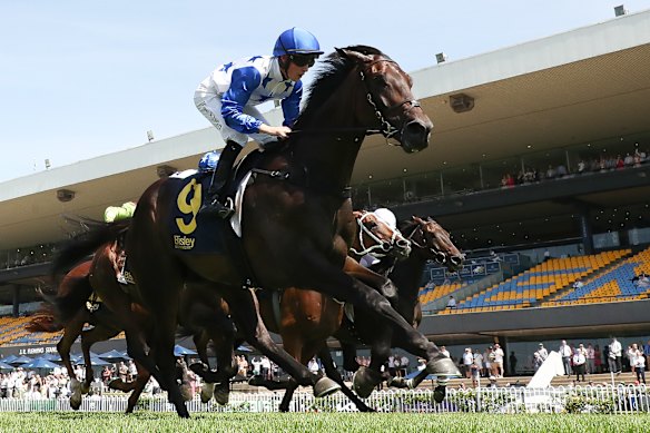 Zac Lloyd rides King Of Thunder to victory at Rosehill Gardens on March 15.
