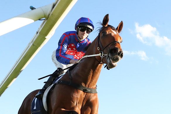 Zac Lloyd steers Guest House to victory in the San Domenico Stakes.