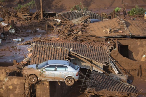 A car and two dogs are seen on the roof of destroyed houses in the small town of Bento Rodrigues, Brazil, after the Samarco dam collapse in 2015. 