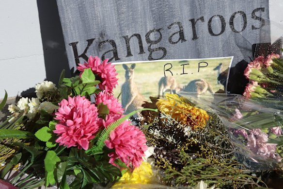 Anti-kangaroo cull protesters have left flowers and a head stone in front of the ACT Legislative Assembly.