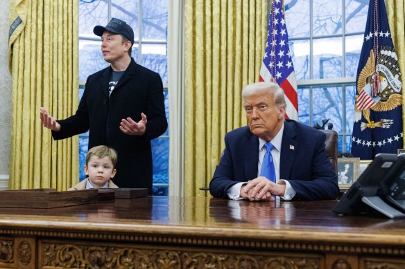 President Donald Trump reiterated an assertion he would prevent Elon Musk from auditing an area where there was a conflict of interest.