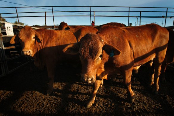 Finding it hard to stomach higher prices? Something seedy is going on