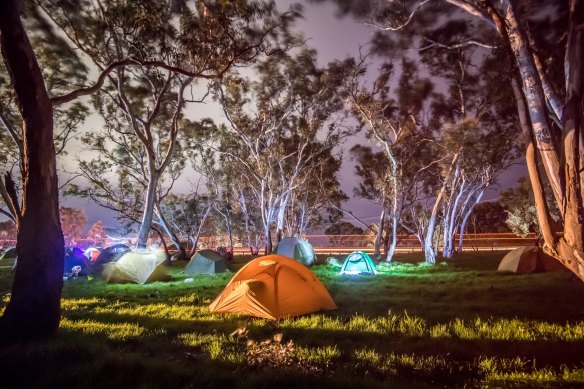 Protesters camped out to protect the Djab Wurrung trees. 