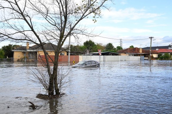 Floodwaters rise in Maribyrnong.

