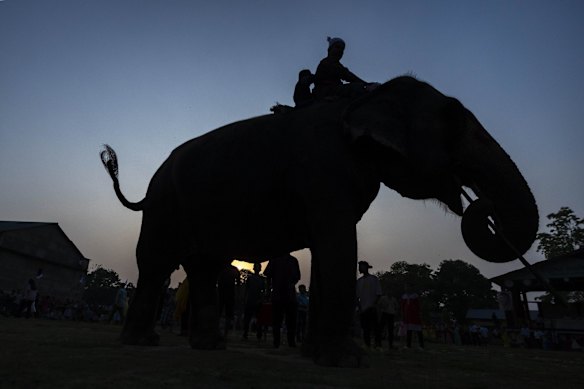 In alcuni villaggi dell’India sono stati introdotti sistemi di allarme rapido basati sull’intelligenza artificiale.