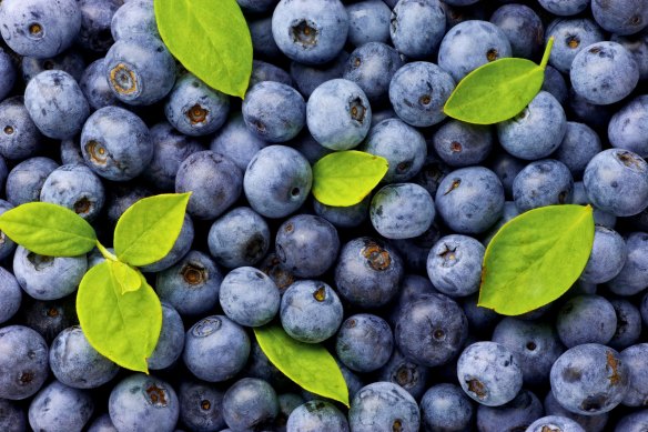 Blueberries, usually among the more expensive fruits, have plummeted in price this season.