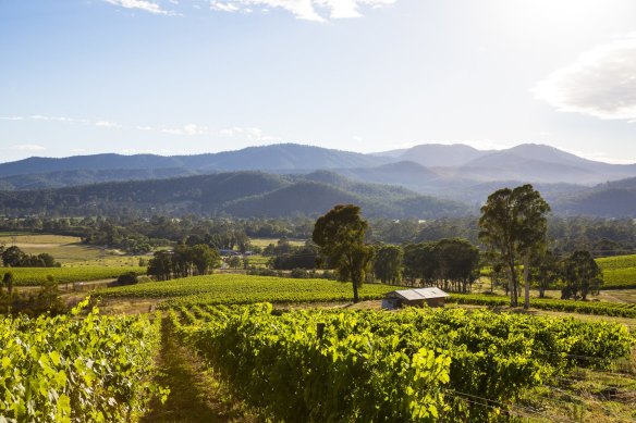 The King Valley wine region in Victoria.