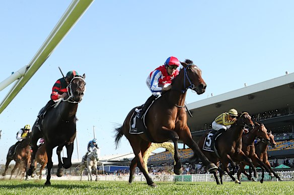 Persian Wonder wins the Ming Dynasty Quality at Rosehill on September 12.