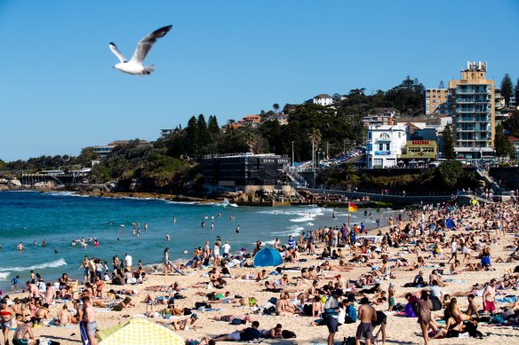 Coogee was the only beach in Sydney that rated as “poor”, meaning the water there is susceptible to faecal pollution and not always suitable for swimming.