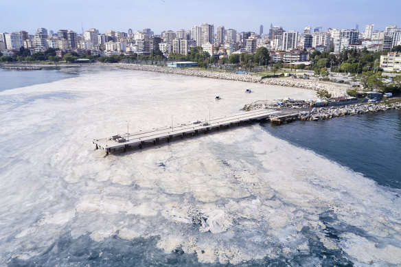 A huge mass of marine mucilage at the Bostanci shore on the Asian side of Istanbul, Turkey, on Monday.