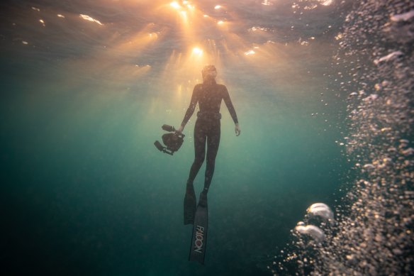 Diving enthusiasts discover long-lost shipwrecks off the West Australian coast in Shipwreck Hunters Australia.