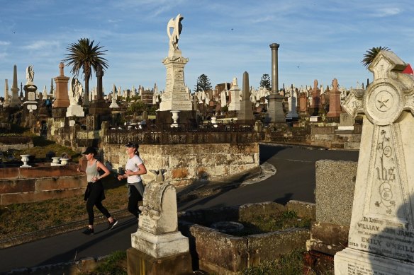 Waverley Cemetery. 

