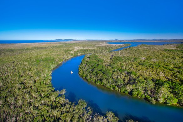 The Noosa Everglades is home to diverse native fauna.