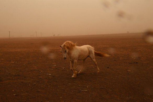 Strong winds and dust sweep through drought ravaged regions south of  Dubbo.