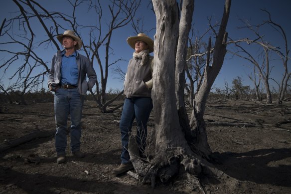 Angus beef producers Garry and Leanne Hall view dead red river gums near a dry Macquarie River at their property in the Macquarie Marshes in August 2019.