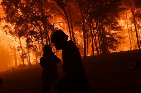 Orangeville explosion. Fire erupted from the bush almost crossing Silverdale Road in December, 2019.