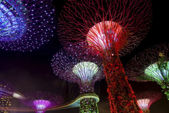The Supertree Grove comes alive at Gardens by the Bay in Singapore.