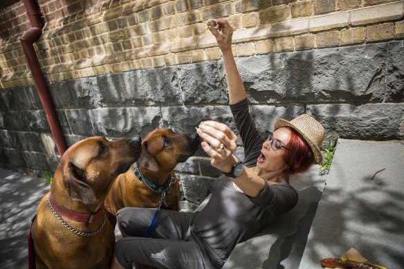 Dianne Clifton with her dogs Aramis and Benedict, who voted at St Kilda Park Primary School in the seat of Albert Park.
