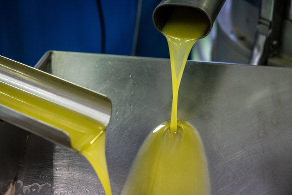 Freshly pressed olive oil pours into a vat following the removal of impurities at a mill in the Cabaces district of Tarragona, Spain.
