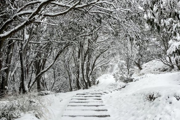 Snow at Falls Creek in Victoria ahead of the official opening of the ski season. 

