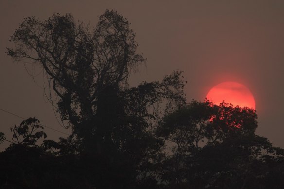 A red sun among heavy smoke caused by the fires in the Amazon forest in the state of Rondonia, Brazil, in August 2019.