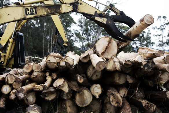 Assistant Forestry Minister Jonathon Duniam says he won’t follow the recommendation of a statutory review of federal environment laws to scrap the exemption for native forestry from Commonwealth wildlife protections. 