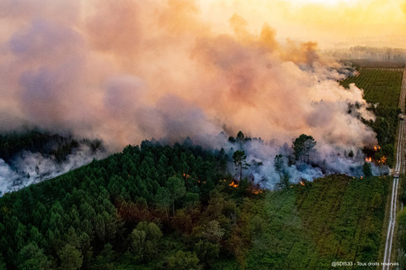 A wildfire near Landiras, southwestern France burning on July 16.