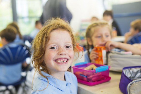 Labor has announced a $1.4 billion plan for free meals at Queensland public schools. 